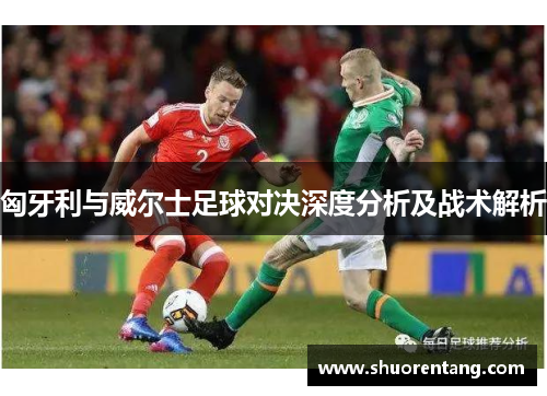 匈牙利与威尔士足球对决深度分析及战术解析