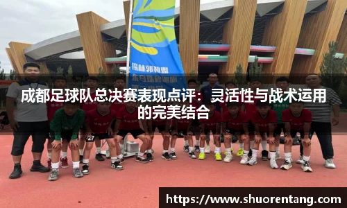 成都足球队总决赛表现点评：灵活性与战术运用的完美结合