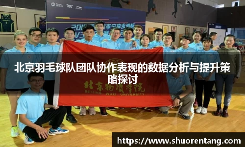 北京羽毛球队团队协作表现的数据分析与提升策略探讨